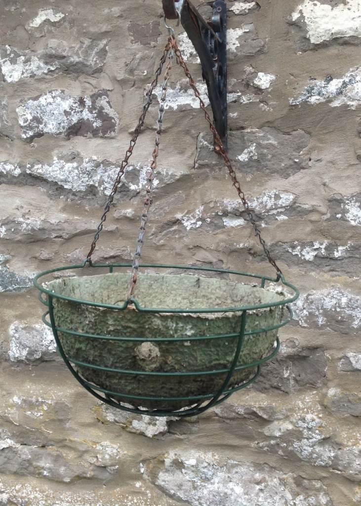 Hanging Basket