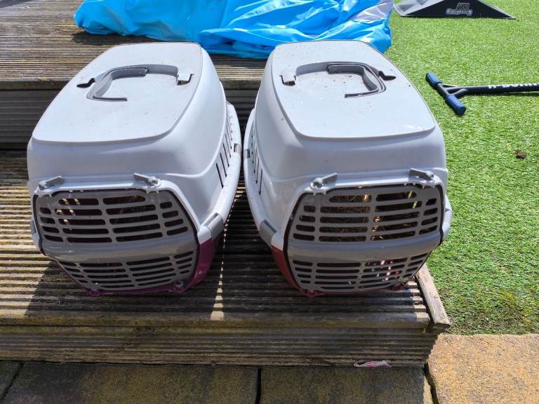 2 x small pet carriers free 