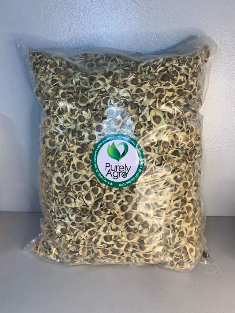 Fresh Moringa Seeds - Small Amounts or Wholesale 