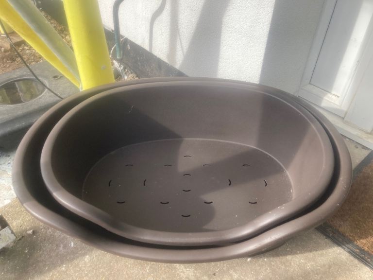 Free… dog beds