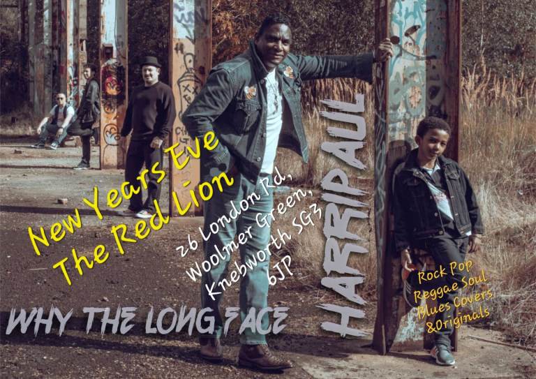 BASS PLAYER WANTED 4 TOURING BAND ROCK POP REGGAE SOUL BLUES COVERS & ORIGINALS