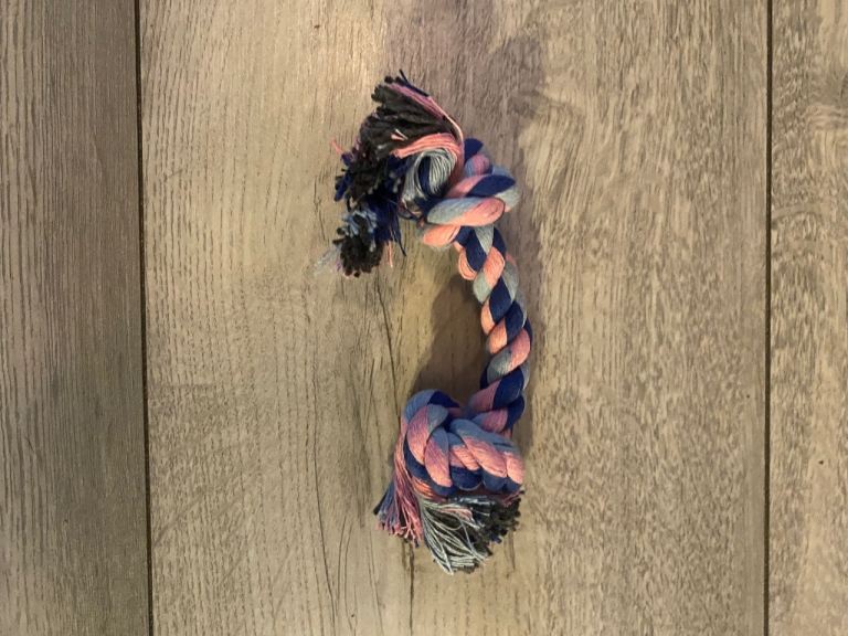 New Puppy Travel Pack