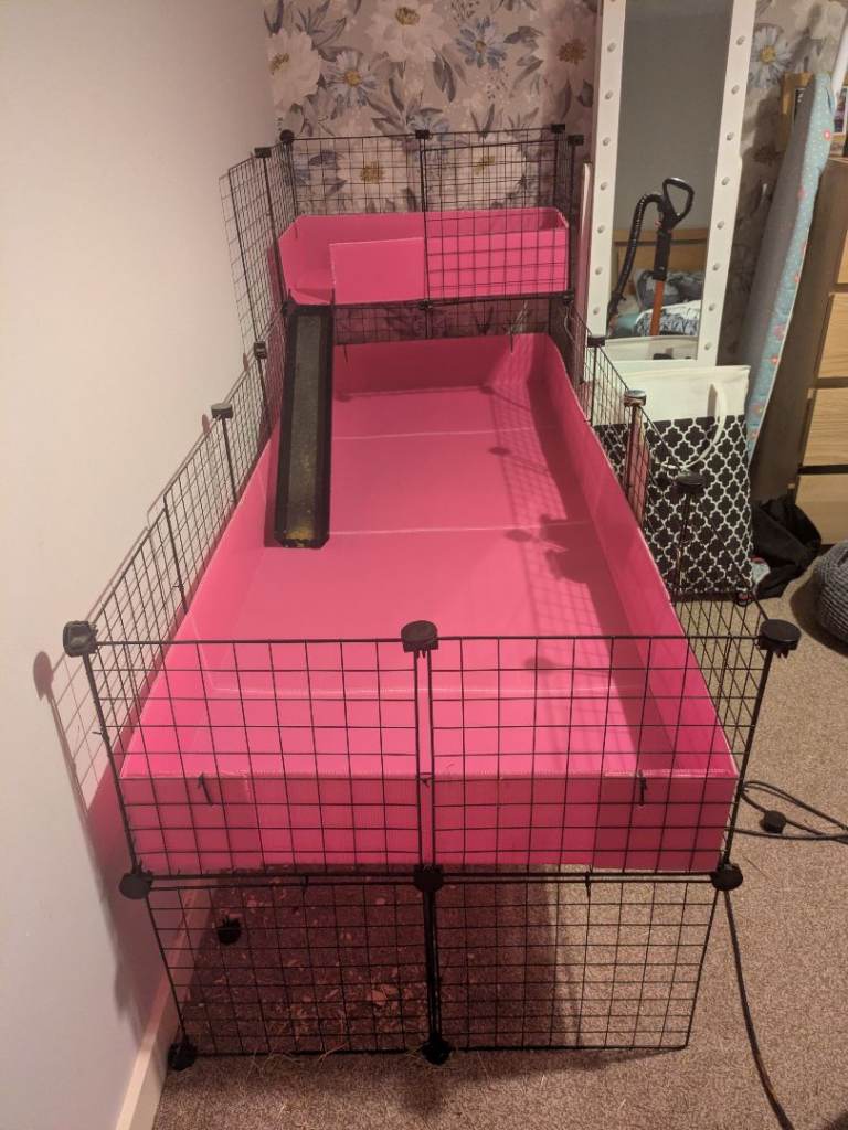 C&C guinea pig cage 