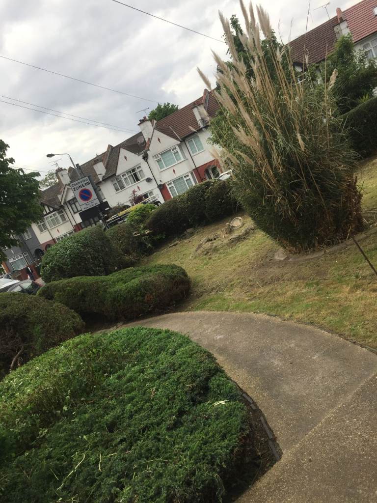 Garden Clearance & Tidy Up in Chatham, Gillingham, Rochester | Fast & Affordable | Lawn Mowing 