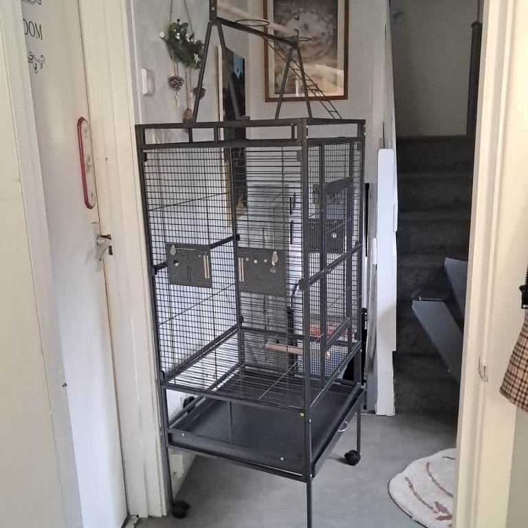 Large bird cage
