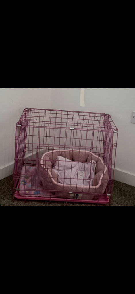 Pink dog crate 