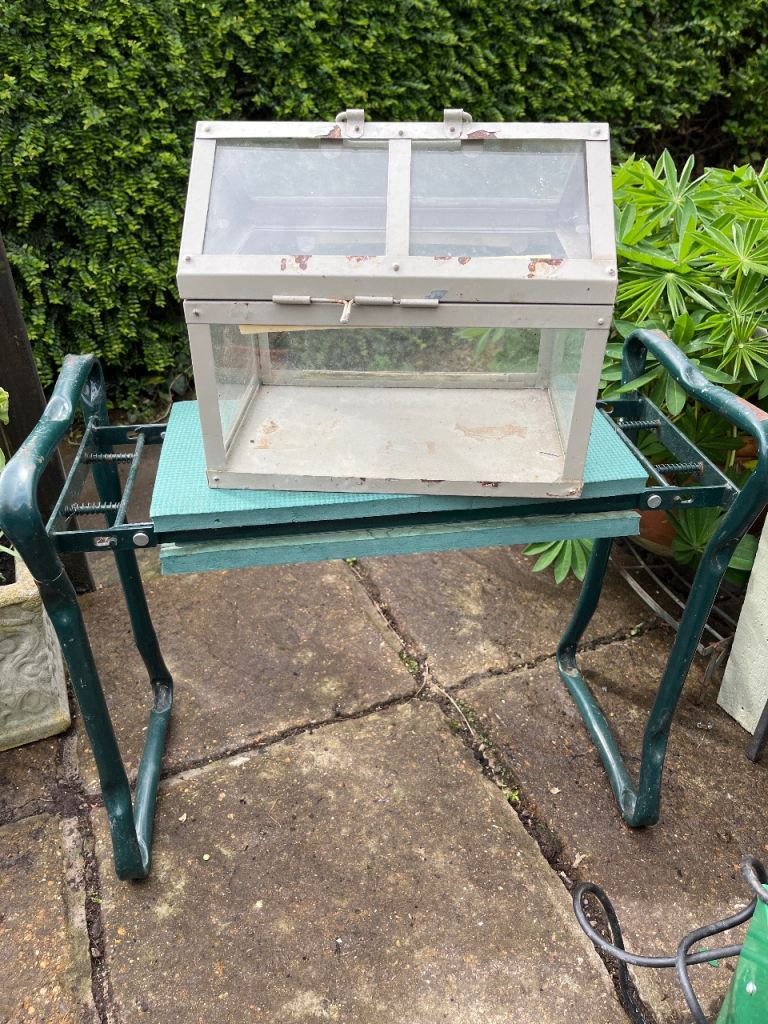 Miniature greenhouse propagator