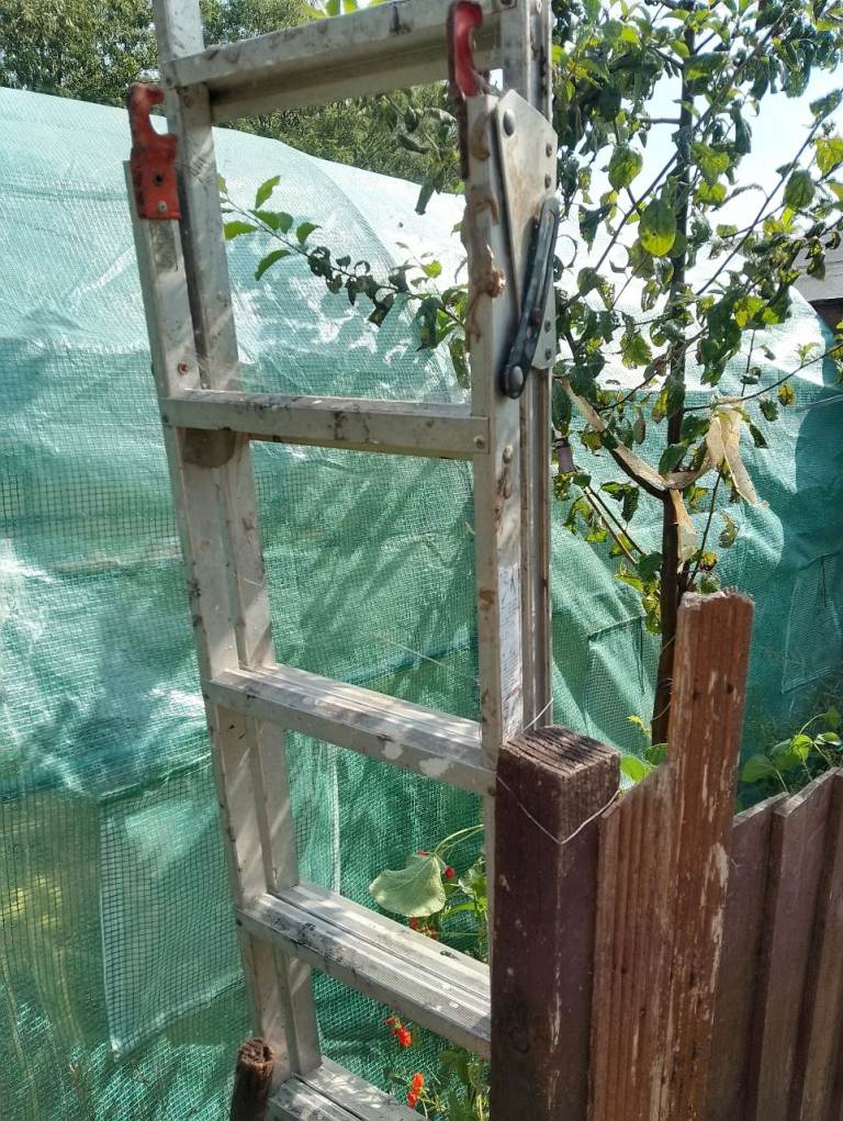 Poly tunnel only approx 8months old
