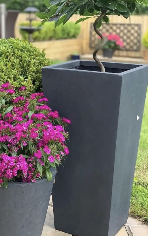 🆕 Tall Fibreglass/Clay Planters 